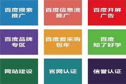 百度SEO推广实战案例：提升网站排名